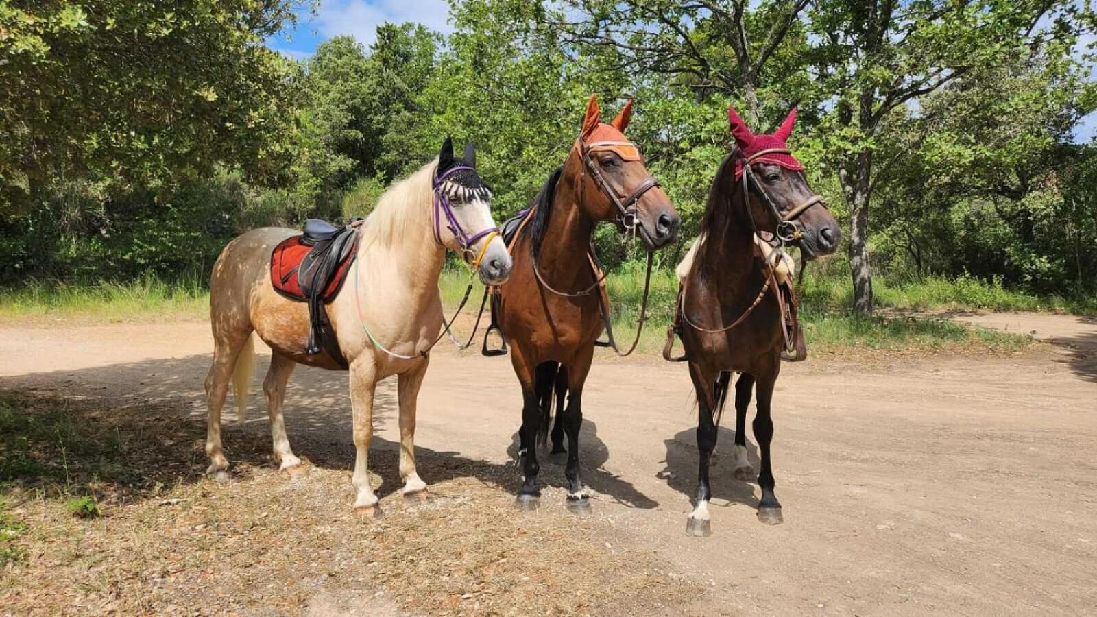 La Cabane Aux Chevaux Varages Экстерьер фото