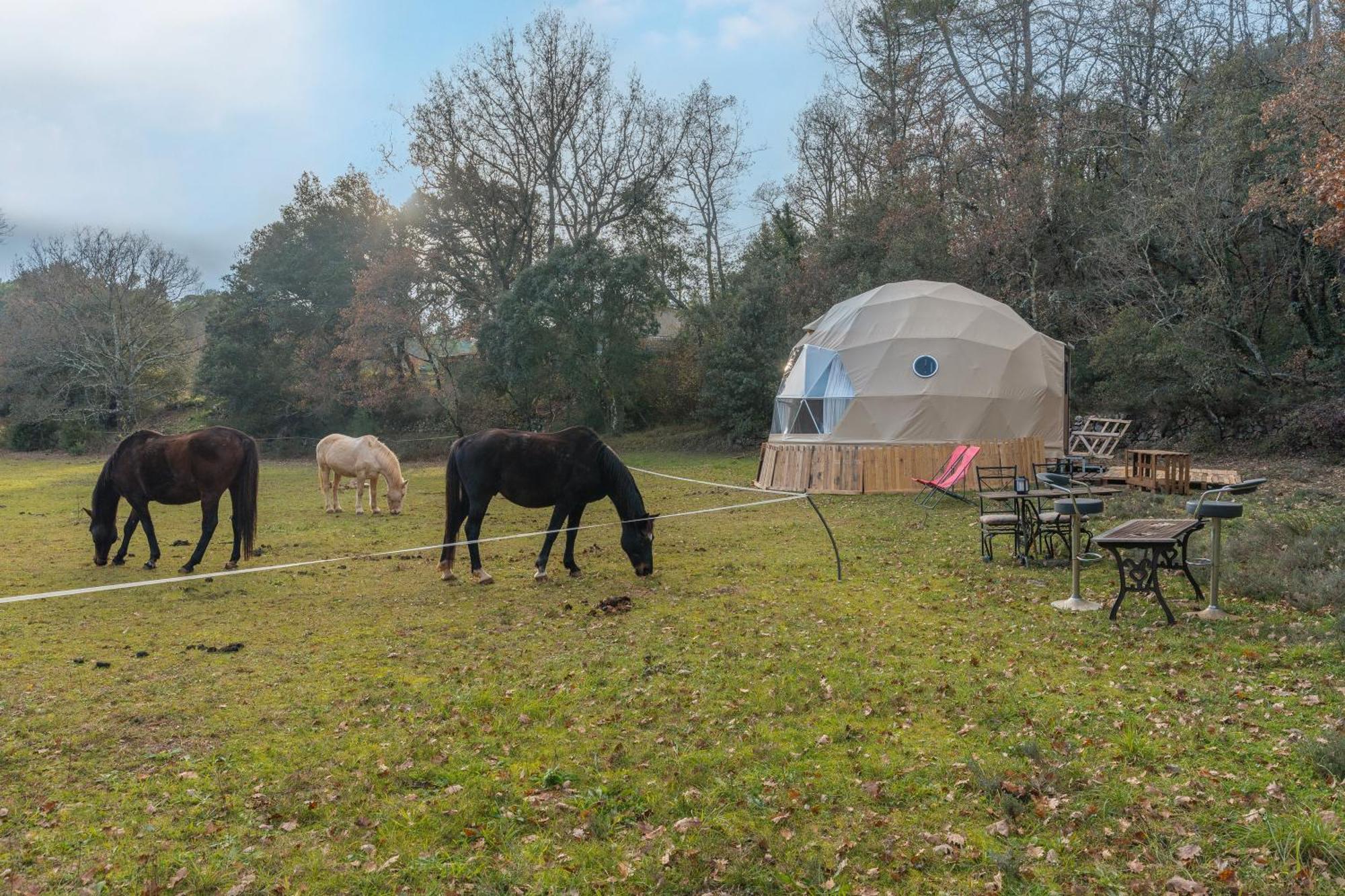 La Cabane Aux Chevaux Varages Экстерьер фото